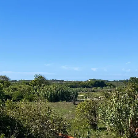 Welcoming House With Terrace And Garden In Barra De Mira Vakantiehuis Areao