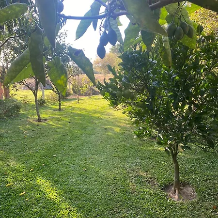 Vakantiehuis Welcoming House With Terrace And Garden In Barra De Mira Areao