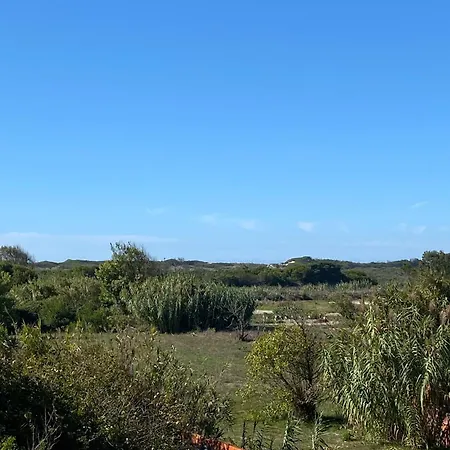 Vakantiehuis Welcoming House With Terrace And Garden In Barra De Mira Areao
