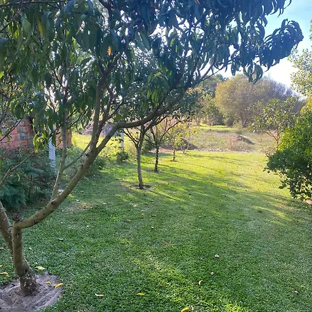 Welcoming House With Terrace And Garden In Barra De Mira Areao