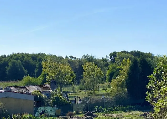 Welcoming House With Terrace And Garden In Barra De Mira Σπίτι διακοπών *
