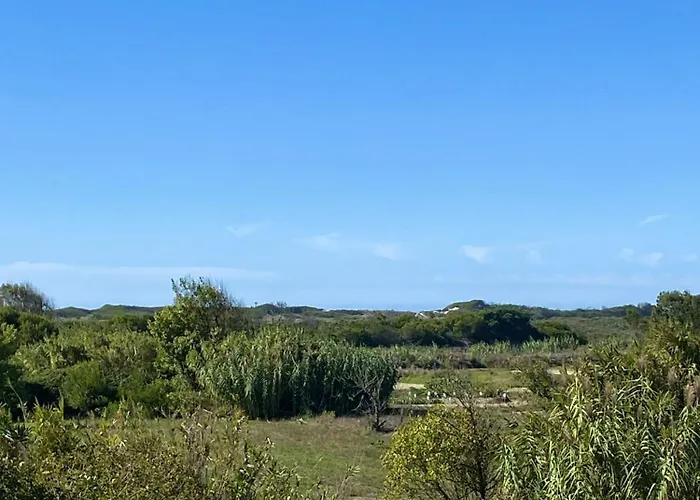 Welcoming House With Terrace And Garden In Barra De Mira Σπίτι διακοπών Areao