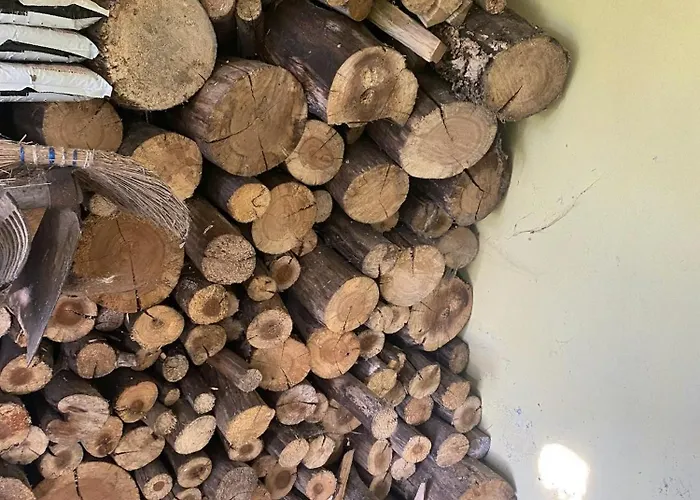 Welcoming House With Terrace And Garden In Barra De Mira * Areao