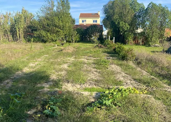 Welcoming House With Terrace And Garden In Barra De Mira * Areao