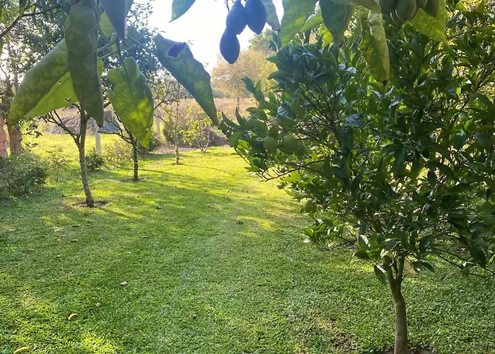 Welcoming House With Terrace And Garden In Barra De Mira