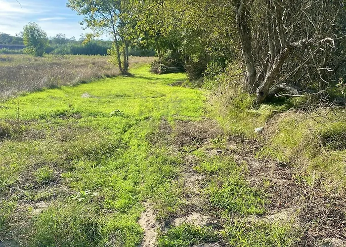 Welcoming House With Terrace And Garden In Barra De Mira Areao