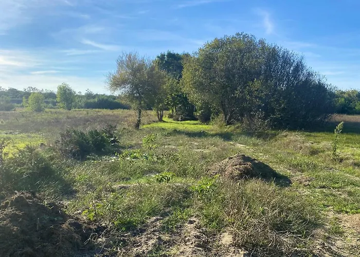 Welcoming House With Terrace And Garden In Barra De Mira Σπίτι διακοπών *